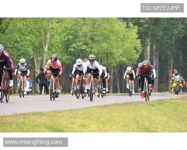 竞技体育项目多元化发展趋势与未来挑战探讨