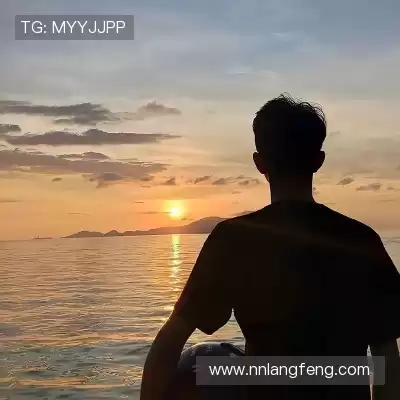 皮蝶研
